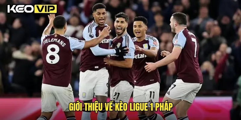 Giới thiệu về kèo Ligue 1 Pháp