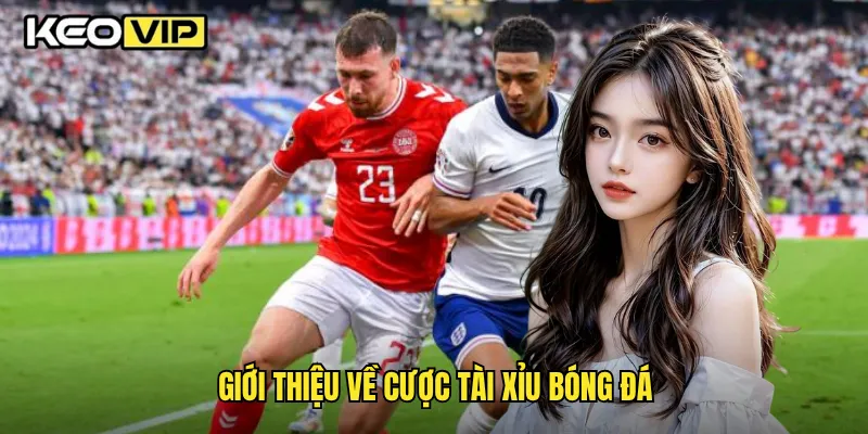 Giới thiệu về cược tài xỉu bóng đá