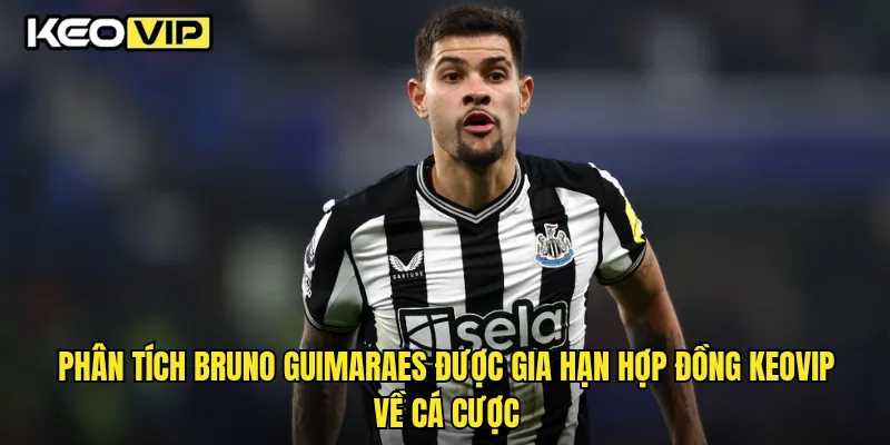 Phân tích Bruno Guimaraes được gia hạn hợp đồng Keovip về cá cược