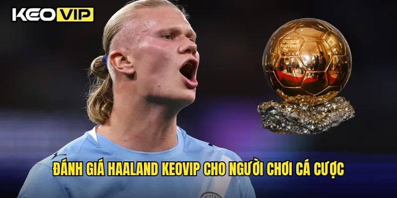 Đánh giá Haaland Keovip cho người chơi cá cược