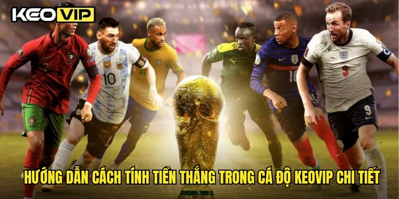 Hướng dẫn cách tính tiền thắng trong cá độ Keovip chi tiết