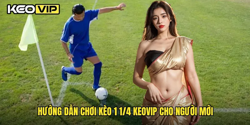 Hướng dẫn chơi kèo 1 1/4 Keovip cho người mới